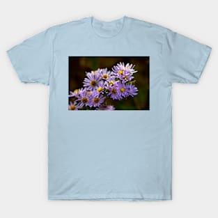 Michaelmas Daisy T-Shirt